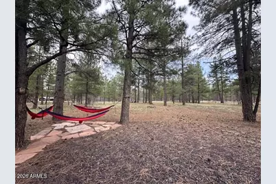 207 Blue Ridge Road, Mormon Lake, AZ 86038 - Photo 37