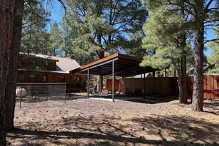 207 Blue Rdg Rd, Mormon Lake, AZ 86038 - Photo 51