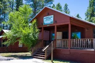 207 Blue Rdg Rd, Mormon Lake, AZ 86038 - Photo 59