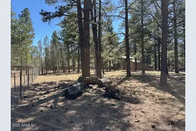 207 Blue Ridge Road, Mormon Lake, AZ 86038 - Photo 45