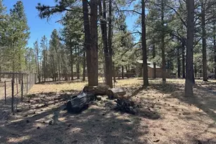 207 Blue Rdg Rd, Mormon Lake, AZ 86038 - Photo 45