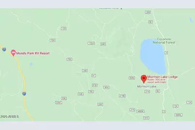 207 Blue Ridge Road, Mormon Lake, AZ 86038 - Photo 65