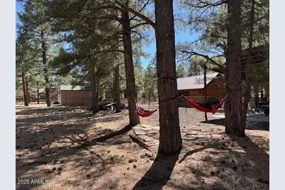 207 Blue Ridge Road, Mormon Lake, AZ 86038 - Photo 43