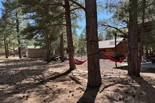 207 Blue Rdg Rd, Mormon Lake, AZ 86038 - Photo 43