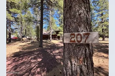 207 Blue Ridge Road, Mormon Lake, AZ 86038 - Photo 3