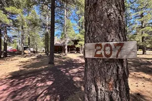 207 Blue Rdg Rd, Mormon Lake, AZ 86038 - Photo 3