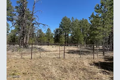 207 Blue Ridge Road, Mormon Lake, AZ 86038 - Photo 47
