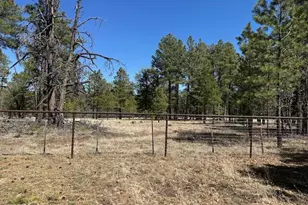 207 Blue Rdg Rd, Mormon Lake, AZ 86038 - Photo 47