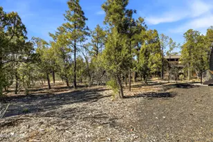 1900 S Monkshood Rd, Show Low, AZ 85901 - Photo 37