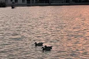 1814 N 108th Ave, Avondale, AZ 85392 - Photo 33