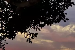 1814 N 108th Ave, Avondale, AZ 85392 - Photo 35