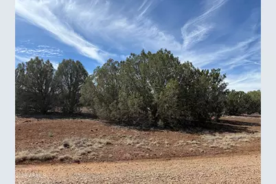 8389 Bear Meadow Drive #4, Show Low, AZ 85901 - Photo 1