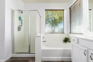 2970 E Andre Ave, Gilbert, AZ 85298 - Photo 19