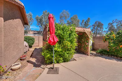 1813 E Wildhorse Place, Chandler, AZ 85286 - Photo 43