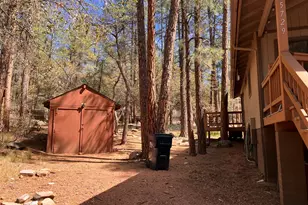 5729 W Pine Circle, Pine, AZ 85544 - Photo 15