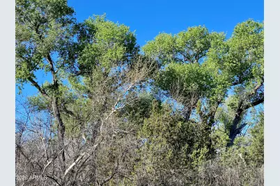 4261 E Lazy River Road #303, Camp Verde, AZ 86322 - Photo 3