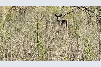 4261 E Lazy River Road #303, Camp Verde, AZ 86322 - Photo 9