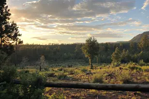 243 N Wild Oak Dr, Payson, AZ 85541 - Photo 27