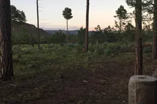 243 N Wild Oak Dr, Payson, AZ 85541 - Photo 29