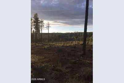 243 N Wild Oak Drive #-, Payson, AZ 85541 - Photo 21