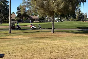 10019 E Nacoma Ct, Sun Lakes, AZ 85248 - Photo 49