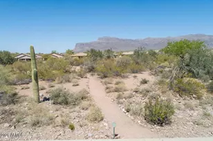 6599 E Casa De Leon Ln, Gold Canyon, AZ 85118 - Photo 63