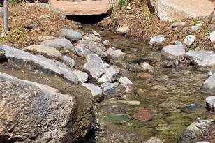 1202 E Alice Ave, Phoenix, AZ 85020 - Photo 37