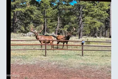 4960 Forrest Ranches Loop, Parks, AZ 86018 - Photo 31