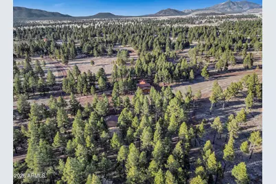 4960 Forrest Ranches Loop, Parks, AZ 86018 - Photo 49