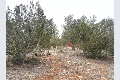 3130 Aspen Road, Overgaard, AZ 85933 - Photo 29