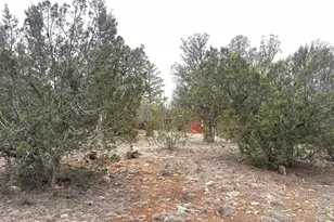 3130 Aspen Rd, Overgaard, AZ 85933 - Photo 29