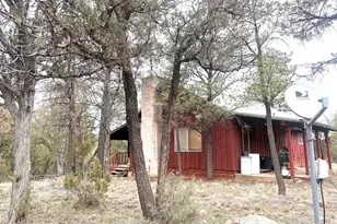 3130 Aspen Rd, Overgaard, AZ 85933 - Photo 3