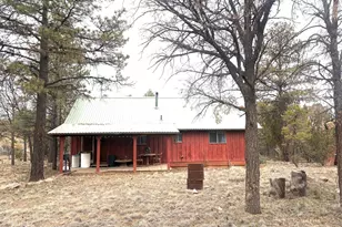 3130 Aspen Rd, Overgaard, AZ 85933 - Photo 5