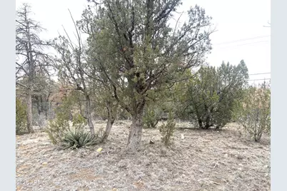 3130 Aspen Road, Overgaard, AZ 85933 - Photo 21