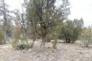 3130 Aspen Rd, Overgaard, AZ 85933 - Photo 21