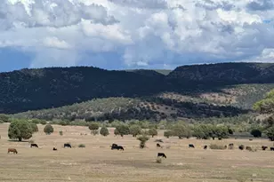 47966 N Az Hwy 288 --, Young, AZ 85554 - Photo 35