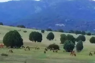 47966 N Az Hwy 288 --, Young, AZ 85554 - Photo 37