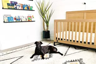 2617 N 81st Way, Scottsdale, AZ 85257 - Photo 19