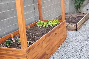 13695 N 145th Dr, Surprise, AZ 85379 - Photo 43