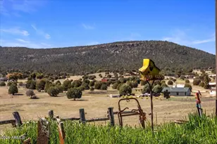 394 S Cohea Ln, Young, AZ 85554 - Photo 29