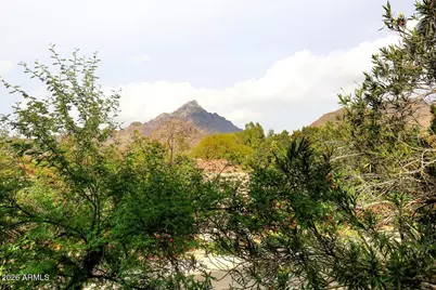 6218 N 30th Place, Phoenix, AZ 85016 - Photo 23