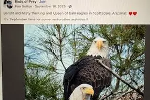 7404 N Yuma Rd, Scottsdale, AZ 85258 - Photo 57