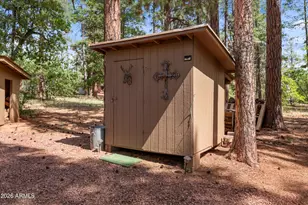 1659 Mormon Rd, Happy Jack, AZ 86024 - Photo 31