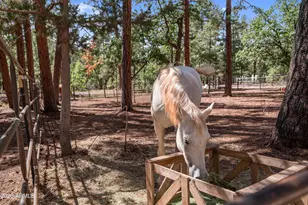 1659 Mormon Rd, Happy Jack, AZ 86024 - Photo 37