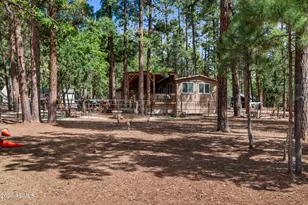 1659 Mormon Rd, Happy Jack, AZ 86024 - Photo 3