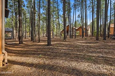 8505 Pinewood Drive, Pinetop, AZ 85935 - Photo 51