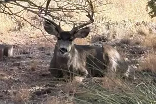 4835 E Mallard Dr, Rimrock, AZ 86335 - Photo 45