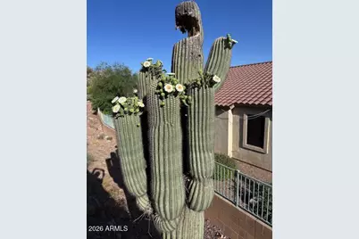 9526 E Obsidian Court, Gold Canyon, AZ 85118 - Photo 19