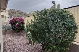 9526 E Obsidian Ct, Gold Canyon, AZ 85118 - Photo 9