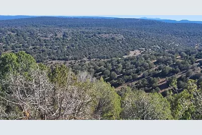 929 Forest Service Rd 721 A -- #929, Williams, AZ 86046 - Photo 3
